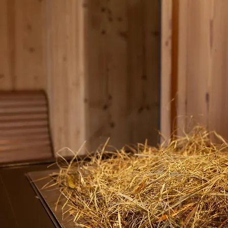 22 Summits Boutique Hotel Zermatt